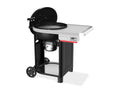Weber Performer - Parrilla de carbón
